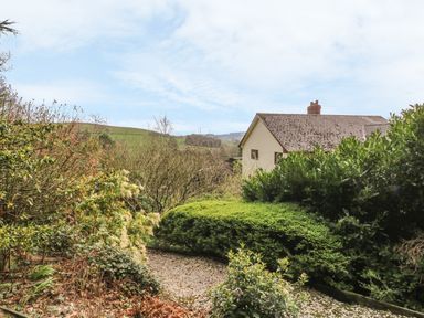 A garden with a gravel path surrounded by bushes and trees and a house in the background at Treboeth in Knighton