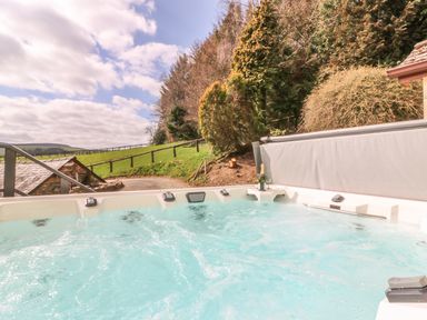 An outdoor hot tub with bubbling water near a hillside with grass, trees, a wooden fence, and a small stone building at Treboeth in Knighton