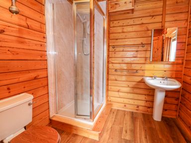 A bathroom with wooden walls and floor a toilet a shower cabin a pedestal sink and a mirror at Pines Pitch in Knighton