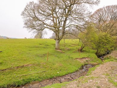A grassy field with a large tree and a small stream running alongside it at Pines Pitch in Knighton