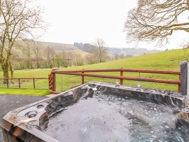 An outdoor hot tub on a deck overlooking a grassy hill with sheep and trees at Pines Pitch in Knighton