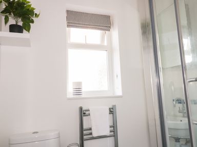 A bathroom with a window, a towel rack with a towel, a toilet, a shower with glass doors, and a potted plant on a shelf at Bayview in Mevagissey