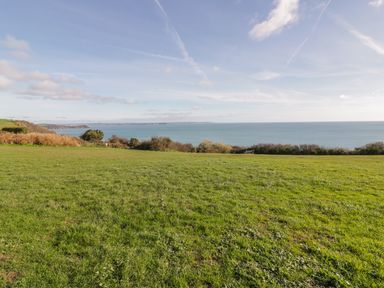 A grassy field with shrubs and a bench overlooking the sea at Bayview in Mevagissey