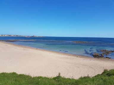 A sandy beach with a few people near the water and grassy area in the foreground at Beach Cove View in Newbiggin-by-the-Sea
