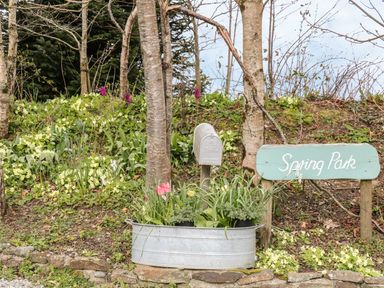 A metal mailbox and a wooden sign that says Spring Park among trees and plants