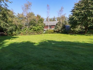 A grassy backyard with trees and a wooden building in the background at Spring Park Farmhouse in Launceston