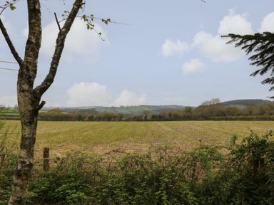 A field with sparse vegetation alongside a tree and bushes with hills in the background at Woodcutters Rezare near Launceston