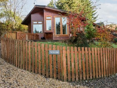 A wooden cabin with large windows and a wooden fence labeled The Wee Lodge in Dollar