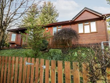A wooden house with multiple windows surrounded by trees and bushes with a wooden fence in front at The Wee Lodge in Dollar