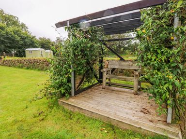 A wooden bench on a deck under a pergola covered with climbing plants in a grassy garden at Shepherds Hut - The Hurdle in Rosemarket