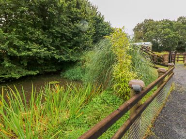 A fenced pathway beside a small pond with tall grasses and trees at Shepherds Hut - The Hurdle in Rosemarket