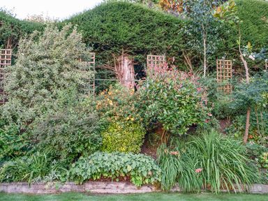 A garden with various shrubs and plants bordered by wooden planks at All Souls Cottage Eastleach Cotswolds