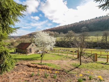 A stone barn with a tiled roof in a grassy field with blooming trees and a wooden fence at Thompson Rigg Barn in Langdale End near Thornton Dale