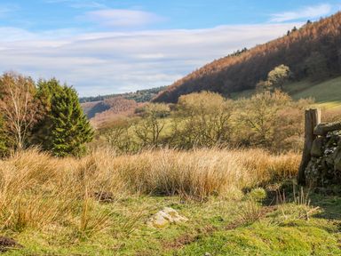 A grassy field with tall dry grass and trees on hills in the background at Thompson Rigg Barn Langdale End near Thornton Dale