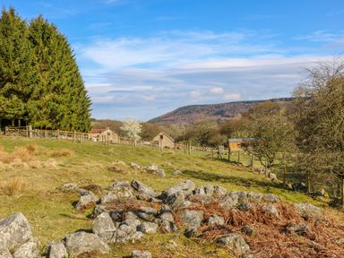 A rural landscape with stone buildings trees a wooden fence and hills in the background at Thompson Rigg Barn Langdale End near Thornton Dale