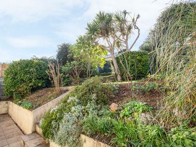 A garden with various plants and shrubs on terraced soil beds in an outdoor space at 1 Lyndhurst in Salcombe