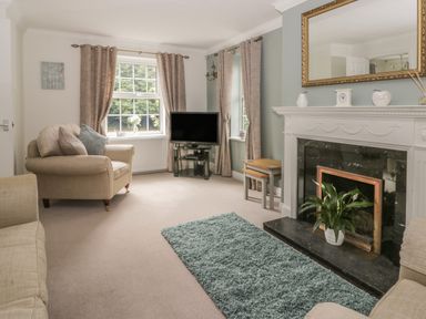 A living room with beige armchairs a green rug a black marble fireplace with a plant a television and windows with curtains at Humble Bee Cottage in Wold Newton near Hunmanby