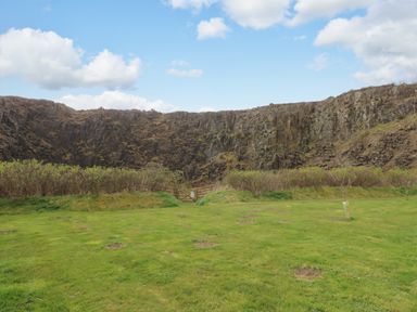 A grassy field with a small tree and shrubs in front of a rocky cliff under a blue sky at Restharrow Lodge in Bamburgh