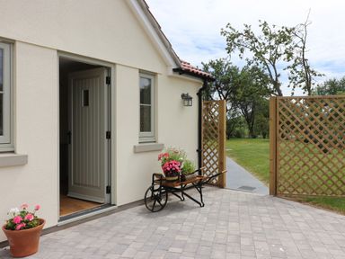 An outdoor patio area with a potted plant and a wheelbarrow holding flowers next to an open door and a wooden lattice gate at The Retreat in Lympsham