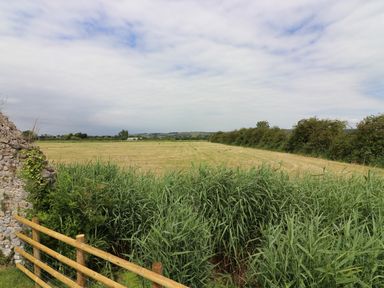 A field with tall grasses and a wooden fence near a stone wall at The Retreat in Lympsham