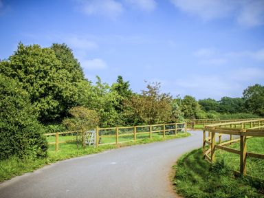 A country road with wooden fences and trees at Stable Cottage in Shipham