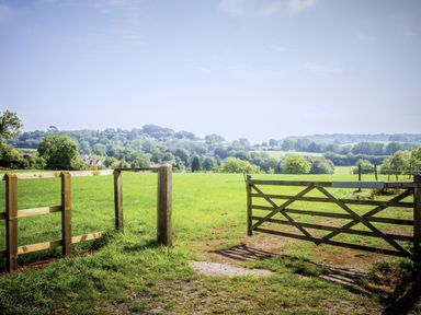 A wooden gate and fence opening to a green field with trees and hills in the background at Stable Cottage in Shipham