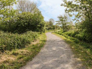 A gravel pathway surrounded by green trees and bushes at Bwlch Y Gwynt Bach in Llangefni