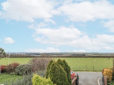 A view of green fields with sheep behind a gate and driveway at Bwlch Y Gwynt Bach in Llangefni