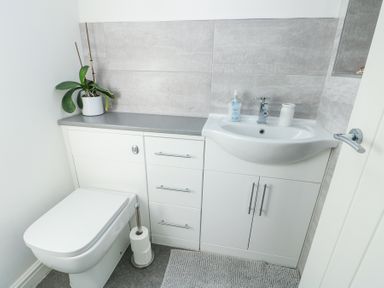 A bathroom with a toilet sink plant and toilet paper holder at Bwlch Y Gwynt Bach in Llangefni
