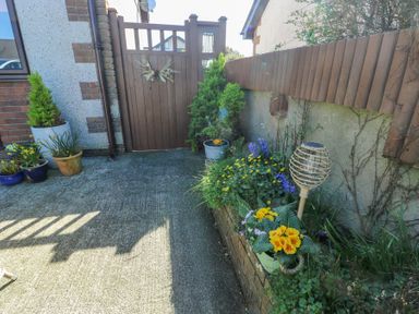 A small outdoor area with potted plants flowers and a wooden gate at Bwlch Y Gwynt Bach in Llangefni