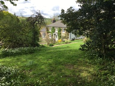 A stone house with ivy on the walls surrounded by grass and trees at Ribby Farmhouse in Lerryn