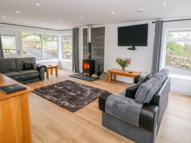 A living room with two sofas a wood burning stove a television on the wall and flowers on a table at Llwyd Coed Canol in Llanllyfni near Penygroes