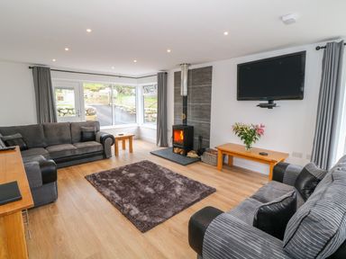 A living room with sofas a wood stove a rug and a wall mounted tv at Llwyd Coed Canol in Llanllyfni near Penygroes