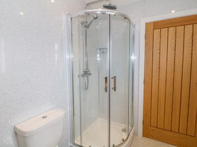 A bathroom with a glass shower enclosure a toilet and a wooden door at Llwyd Coed Canol in Llanllyfni near Penygroes