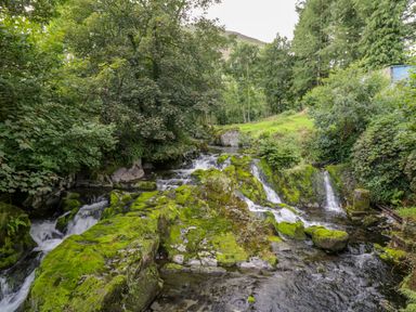 A small river with moss covered rocks surrounded by trees and greenery at Dyfi Cottage in Dolgellau