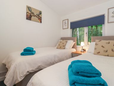 A bedroom with two single beds blue towels and animal cushions at 40 Skiptory Howe in Troutbeck Bridge
