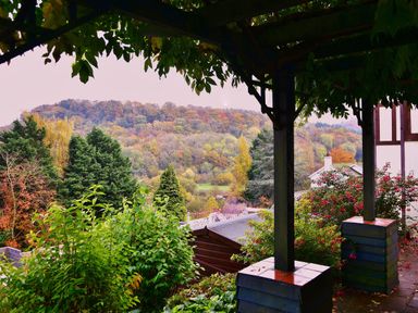 A garden view with trees and hills in the background at Tudor House in Symonds Yat