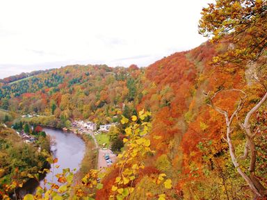 A river winding through a valley with autumn trees and a small village at Tudor House in Symonds Yat