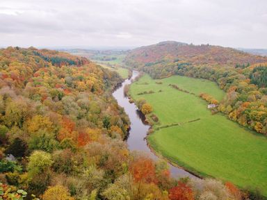 A river flowing through a valley with autumn-colored trees and green fields at Tudor House in Symonds Yat
