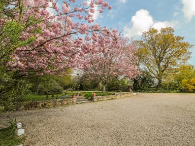 An outdoor area with cherry blossom trees a gravel path and a stone wall at Robin Cottage in Morpeth