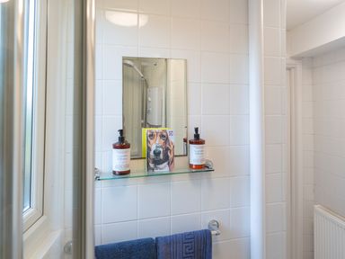 A bathroom with a mirror above a glass shelf holding two bottles of Lavender and Honey hand wash and lotion and a book with a dog on the cover at 164 Cumber Close in Malborough