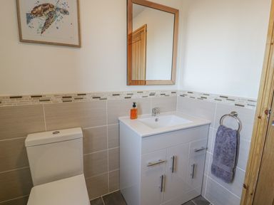 A bathroom with a toilet sink cabinet mirror hand towel and turtle artwork at Isallt in Rhostryfan near Bontnewydd Gwynedd