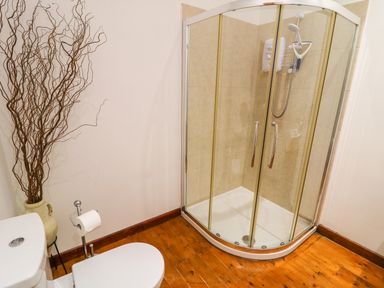 A bathroom with a corner shower enclosure toilet and a vase with decorative branches at Woodleigh Cottage in Ballycastle