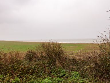 A grassy field with bushes near a body of water under a cloudy sky at Hitchens Cottage in Happisburgh
