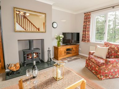 A living room with a fireplace a wooden TV stand and a floral armchair at Kirkstone Cottage in Outgate near Hawkshead