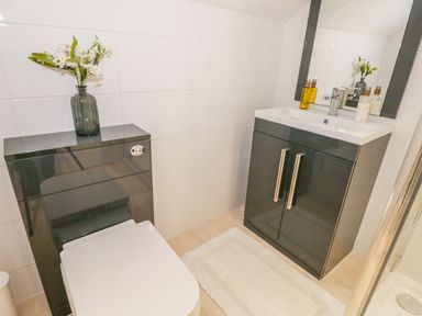 A bathroom with a toilet floral arrangement on the cistern and a sink cabinet with toiletries at Kirkstone Cottage in Outgate near Hawkshead