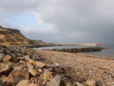 A rocky beach with a breakwater and hills in the background at Lady Bird Retreat in Skinningrove