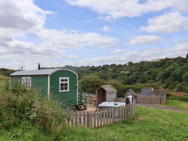 A green shepherds hut with a fenced area containing a hot tub and a wooden shed in a rural landscape at Lady Bird Retreat in Skinningrove