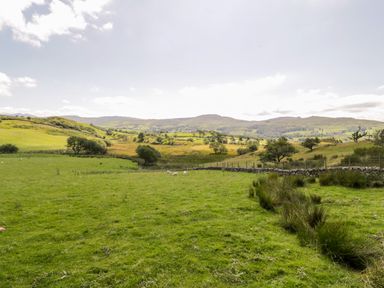 A green field with a few sheep trees and hills in the background at Yr Hen Stabal in Trawsfynydd