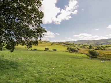 A grassy field with scattered sheep trees and hills under a partly cloudy sky at Yr Hen Stabal in Trawsfynydd